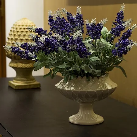 Bed & Breakfast Rosmini